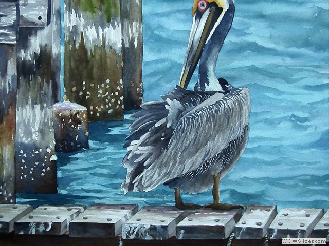 Pelican on the Dock